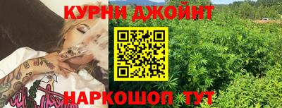 сатива Донецк