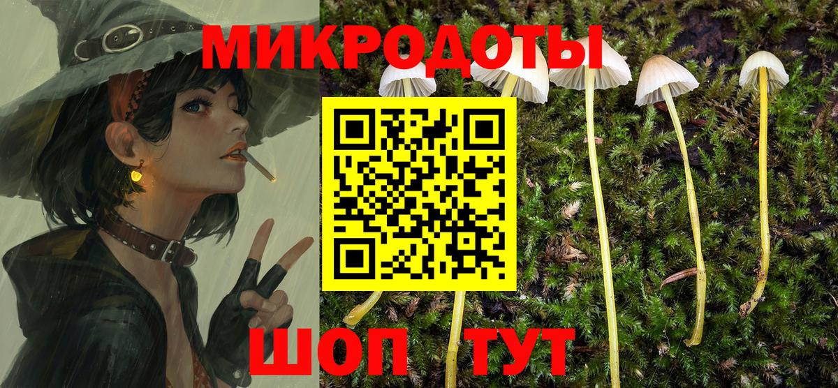 Губкин  Галлюциногенные грибы мухоморы  Вход с VPN 