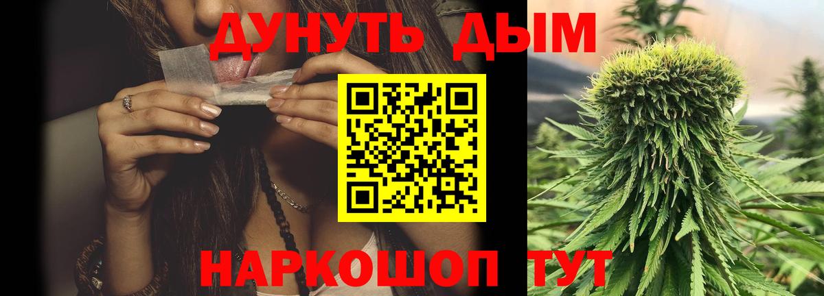 Шишки марихуана конопля  Шишки марихуана планчик  Вход с VPN  Марихуана план  Губкин 